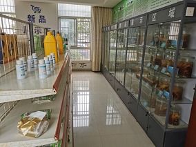 喜報！市水產站榮獲江蘇省漁業科技服務與示范推廣一等獎，計算機系統服務功不可沒